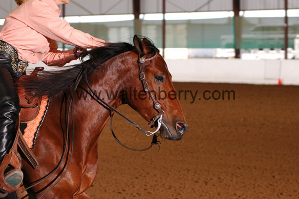 382 BC08p14B.2 - 063