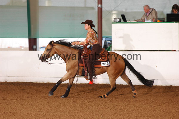 383 BC08p18A.1 - 185