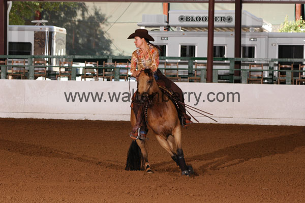 383 BC08p18A.1 - 190