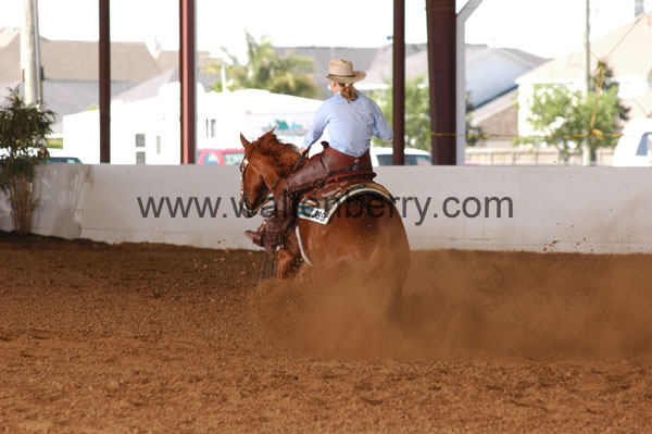 389 BC08p14B.1 - 209