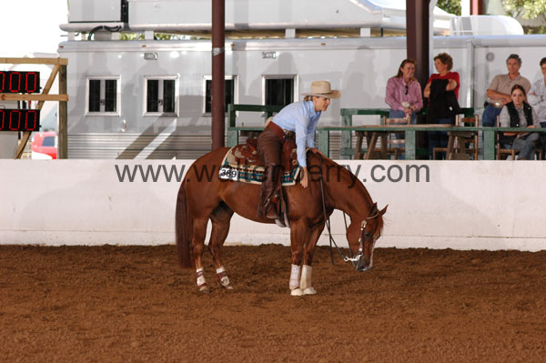 389 BC08p14B.1 - 214