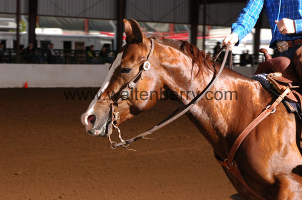 407 BC08p16B.2 - 008