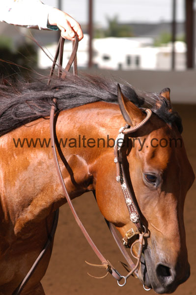 411 BC08p18A.2 - 129