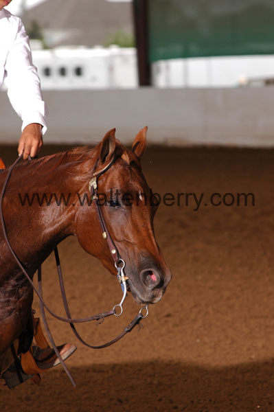 419 BC08p18A.3 - 017