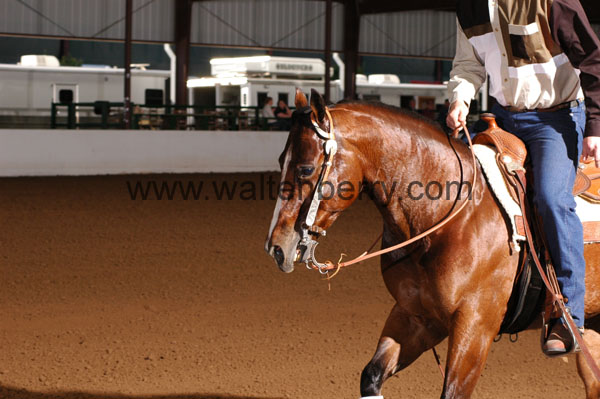 421 BC08p16B.2 - 162