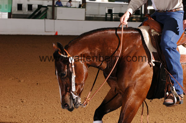 421 BC08p16B.2 - 163