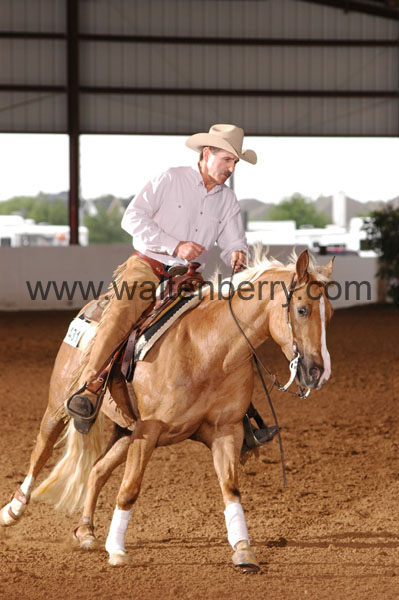 431 BC08p18A.2 - 169