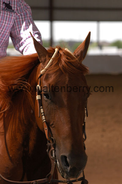 457 BC08p18A.3 - 063