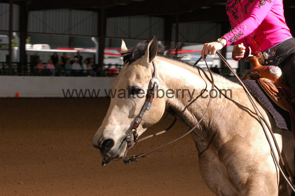 608 BC08p16B.2 - 045