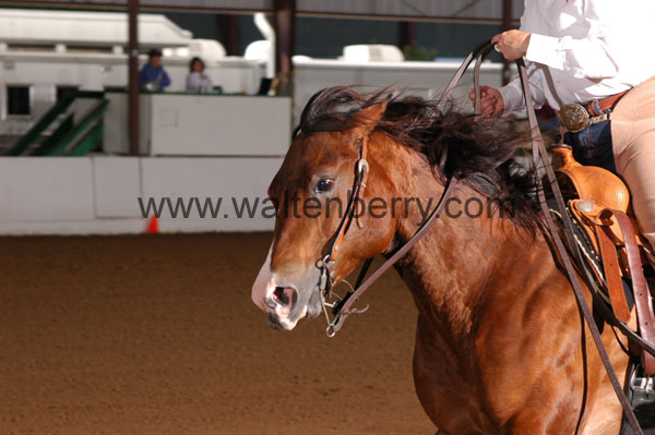 609 BC08p16B.2 - 144