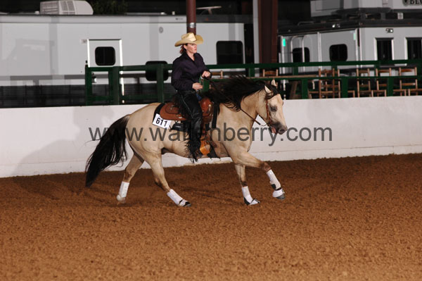 611 BC08p12A.2 - 105