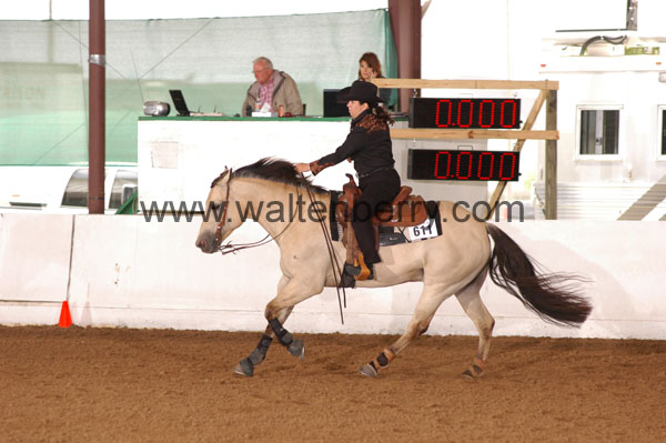 611 BC08p18A.3 - 131