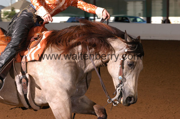 621 BC08p14B.1 - 088