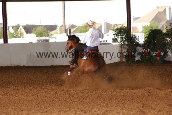 631 BC08p14B.1 - 044