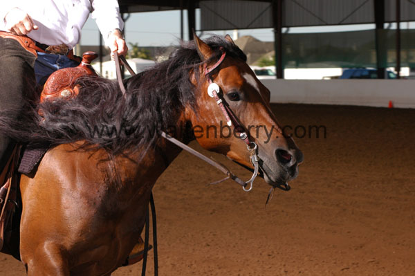 631 BC08p14B.1 - 045