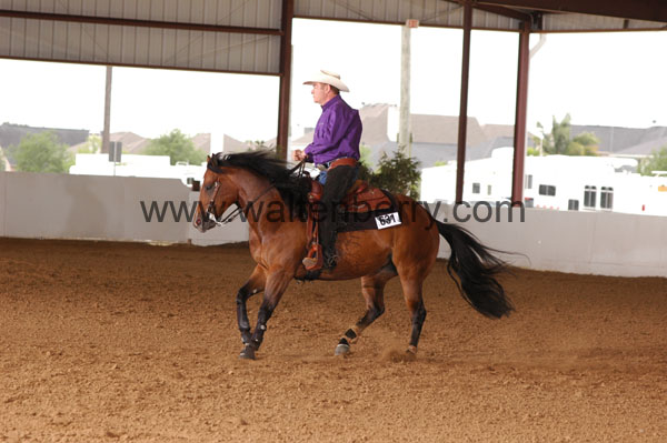 631 BC08p18A.3 - 049