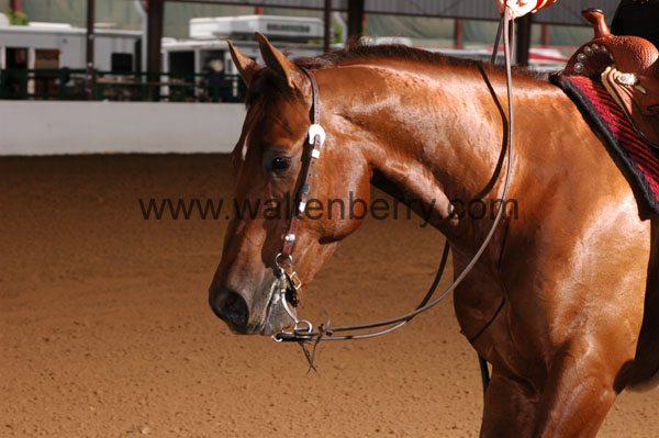 632 BC08p16B.1 - 043