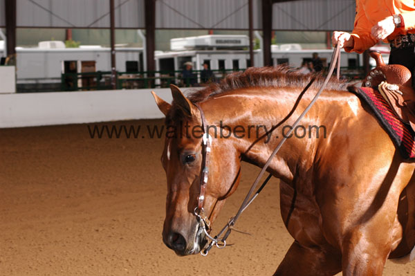 632 BC08p16B.1 - 044