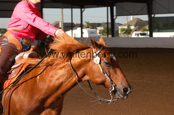 637 BC08p14B.1 - 026