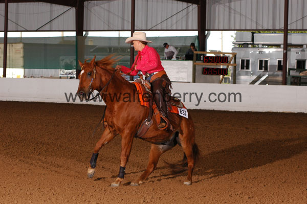 637 BC08p14B.1 - 029