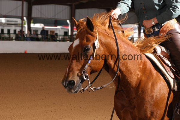 637 BC08p16B.2 - 073