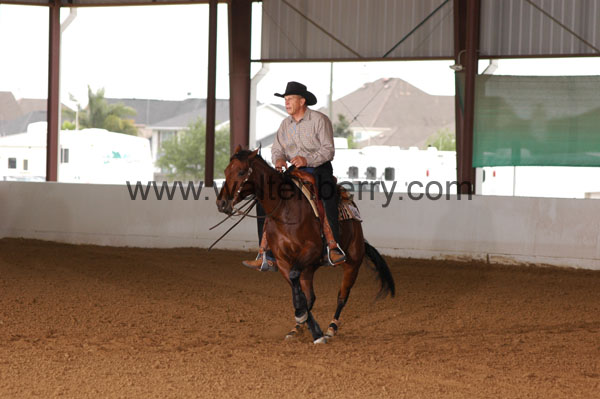 646 BC08p18A.3 - 096