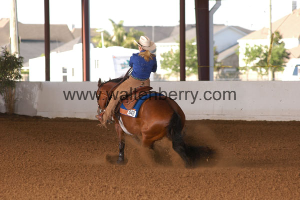 648 BC08p14B.1 - 057