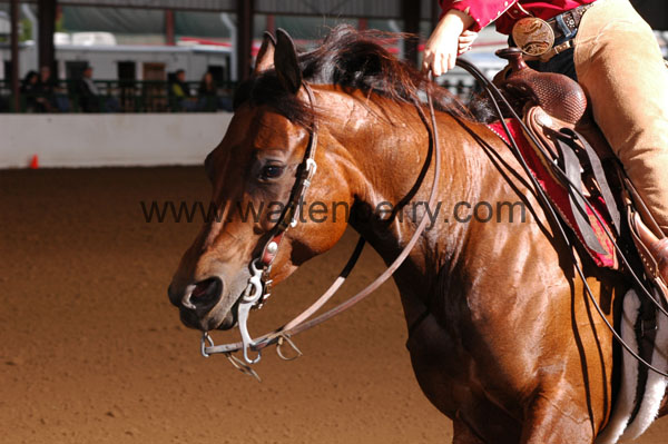 648 BC08p16B.2 - 001