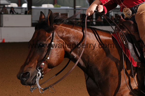 648 BC08p16B.2 - 002