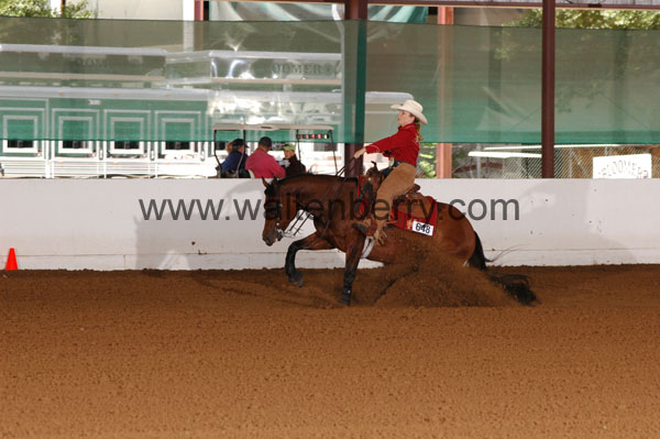 648 BC08p16B.2 - 003