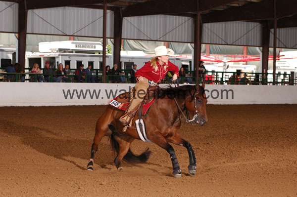 648 BC08p16B.2 - 005