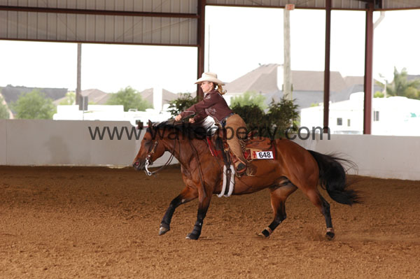 648 BC08p18A.3 - 102