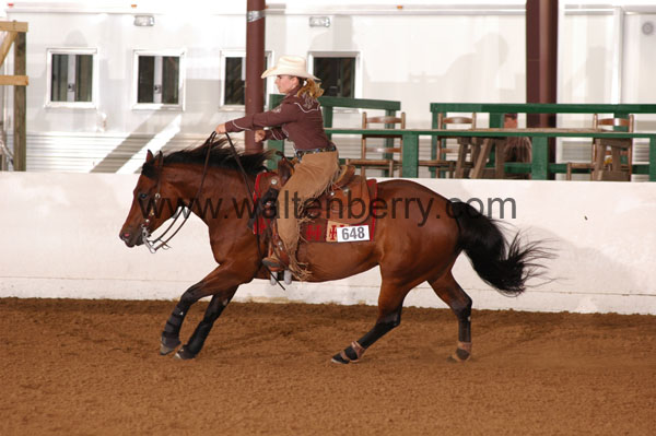 648 BC08p18A.3 - 105