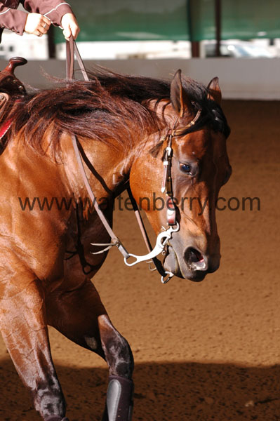 648 BC08p18A.3 - 107