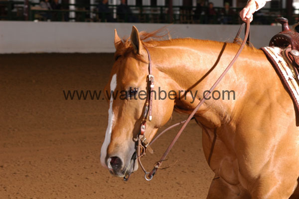 651 BC08p16B.1 - 027