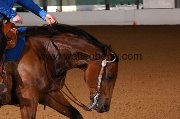 658 BC08p14B.2 - 002