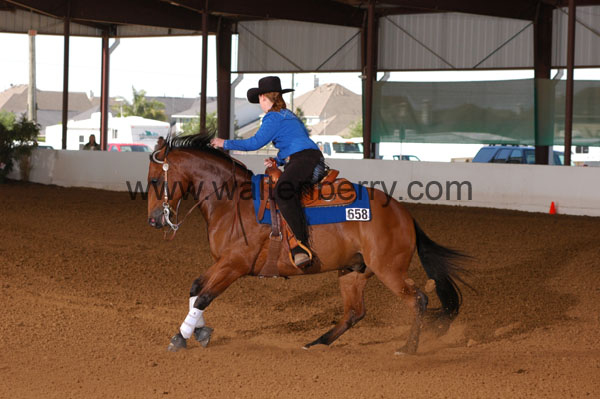 658 BC08p14B.2 - 005