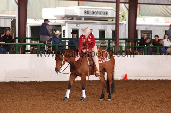 658 BC08p16B.1 - 042