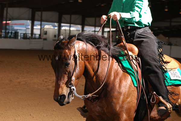 662 BC08p16B.2 - 193