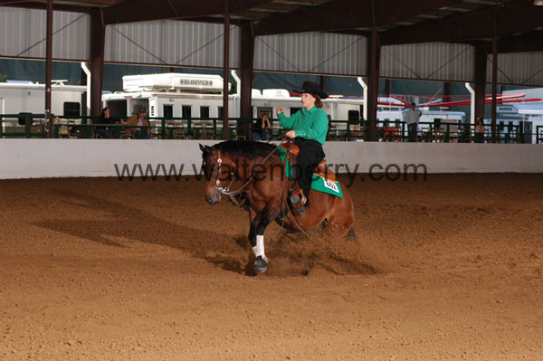 662 BC08p16B.2 - 195