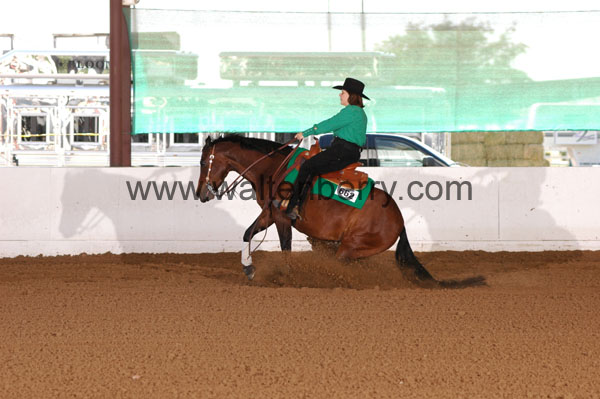 662 BC08p16B.2 - 196