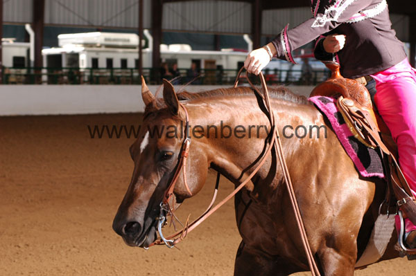 690 BC08p16B.2 - 197