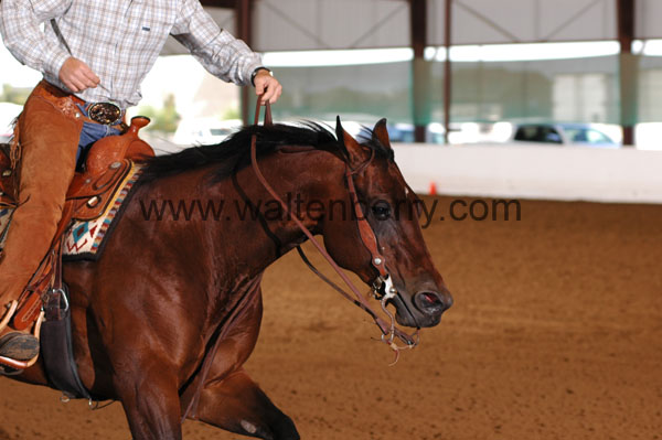 700 BC08p14B.2 - 028