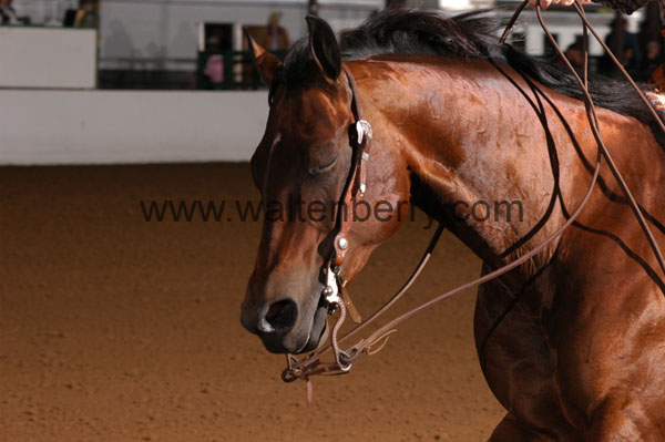 700 BC08p16B.2 - 017