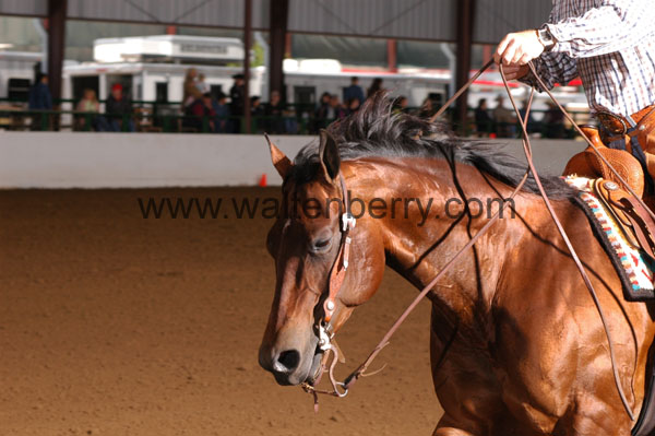 700 BC08p16B.2 - 018