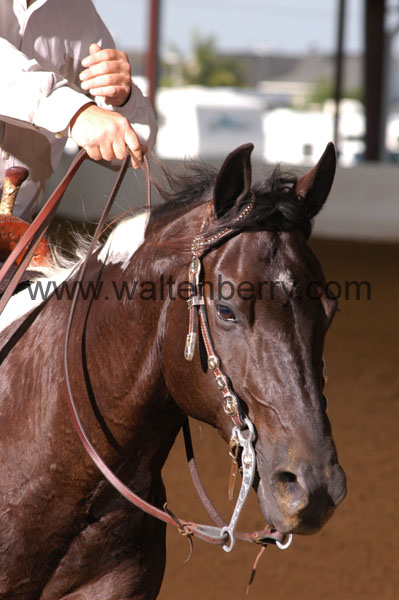 707 BC08p18A.1 - 146