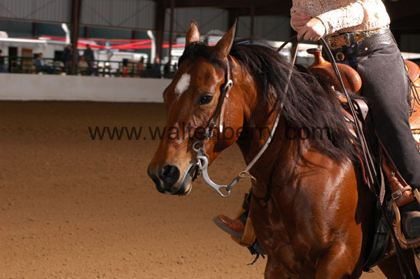 728 BC08p16B.2 - 083