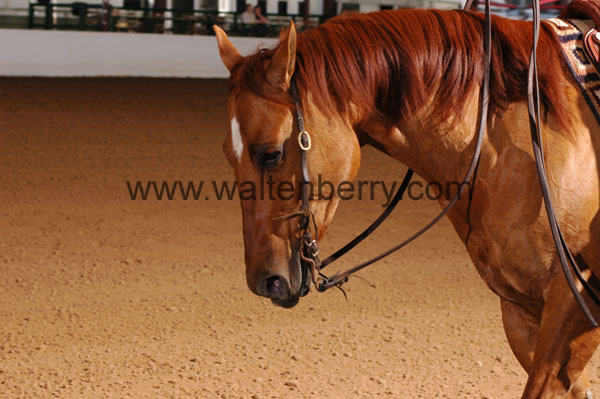 736 BC08p16B.2 - 176