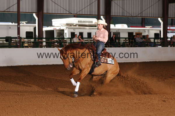 736 BC08p16B.2 - 177