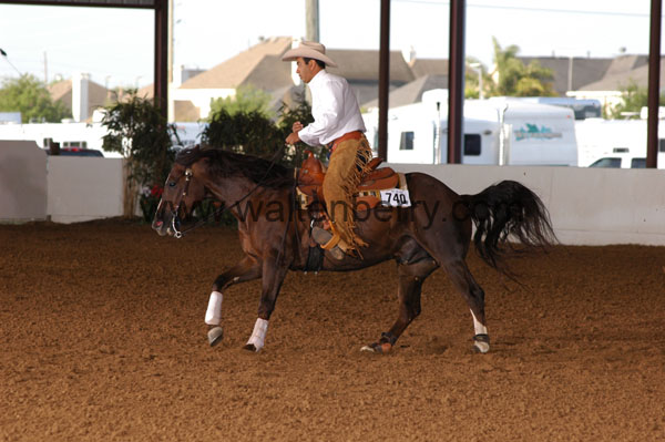 740 BC08p18A.1 - 038